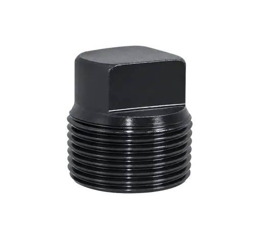 P001873 | Throttle Valve Plug